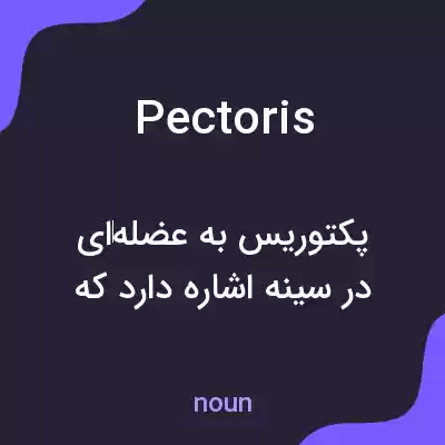 معنی pectoris به فارسی معنی pectoris به فارسی