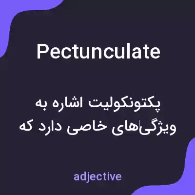 معنی pectunculate به فارسی معنی pectunculate به فارسی