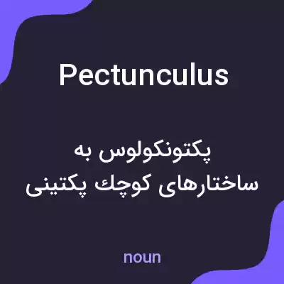 معنی pectunculus به فارسی معنی pectunculus به فارسی