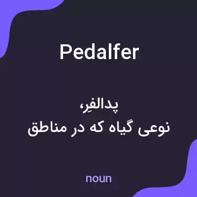 معنی pedalfer به فارسی معنی pedalfer به فارسی