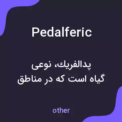 معنی pedalferic به فارسی معنی pedalferic به فارسی
