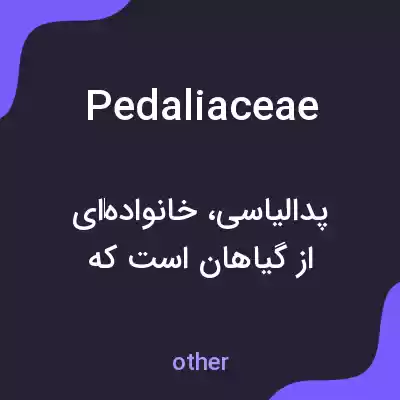 معنی pedaliaceae به فارسی معنی pedaliaceae به فارسی