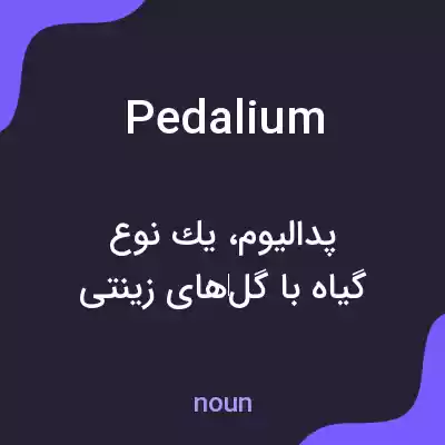 معنی pedalium به فارسی معنی pedalium به فارسی