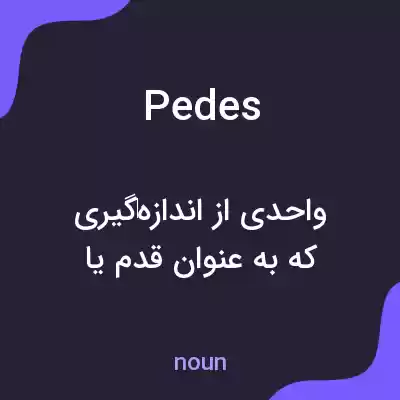 معنی pedes به فارسی معنی pedes به فارسی