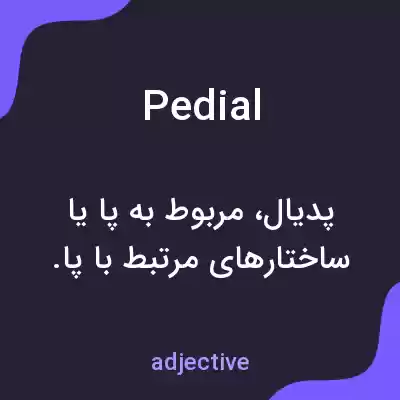 معنی pedial به فارسی معنی pedial به فارسی