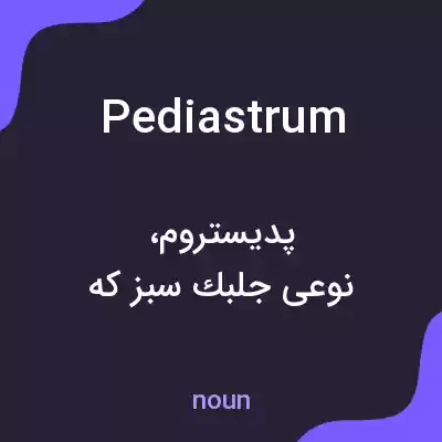 معنی pediastrum به فارسی معنی pediastrum به فارسی