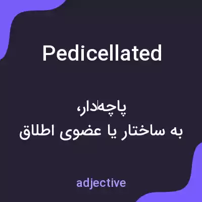 معنی pedicellated به فارسی معنی pedicellated به فارسی