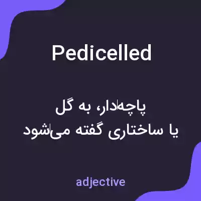 معنی pedicelled به فارسی معنی pedicelled به فارسی
