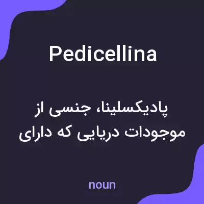 معنی pedicellina به فارسی معنی pedicellina به فارسی