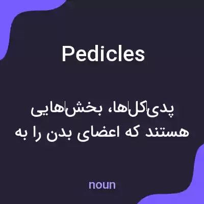معنی pedicles به فارسی معنی pedicles به فارسی