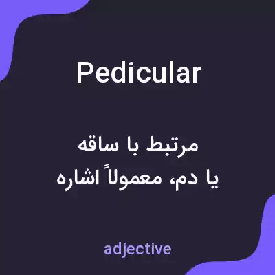معنی pedicular به فارسی معنی pedicular به فارسی