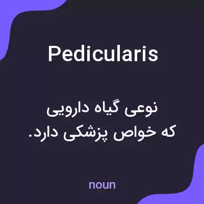 معنی pedicularis به فارسی معنی pedicularis به فارسی