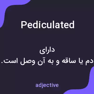 معنی pediculated به فارسی معنی pediculated به فارسی