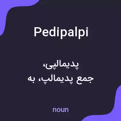 معنی pedipalpi به فارسی معنی pedipalpi به فارسی