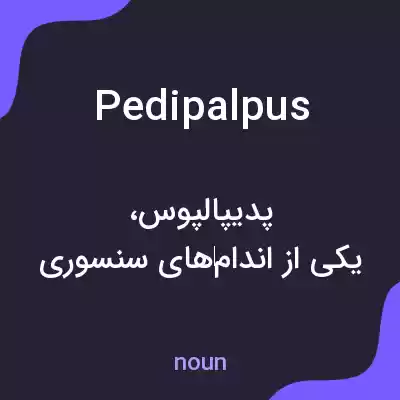 معنی pedipalpus به فارسی معنی pedipalpus به فارسی