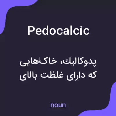 معنی pedocalcic به فارسی معنی pedocalcic به فارسی