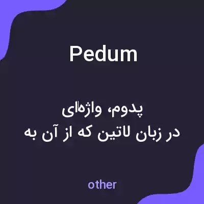 معنی pedum به فارسی معنی pedum به فارسی
