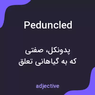 معنی peduncled به فارسی معنی peduncled به فارسی