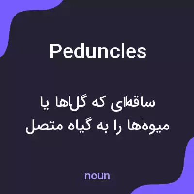 معنی peduncles به فارسی معنی peduncles به فارسی