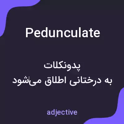 معنی pedunculate به فارسی