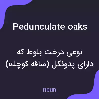 معنی pedunculate oaks به فارسی معنی pedunculate oaks به فارسی