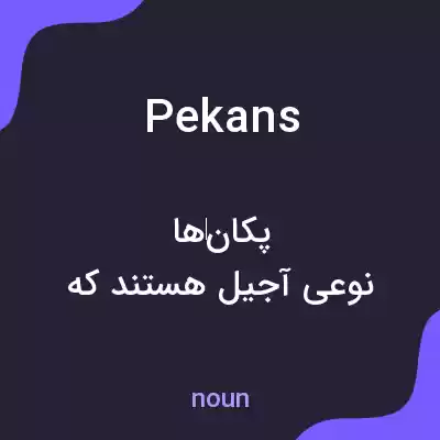 معنی pekans به فارسی معنی pekans به فارسی