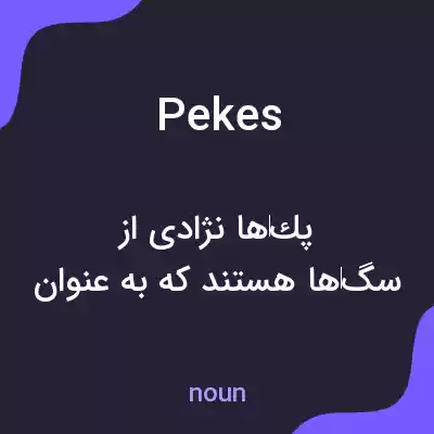 معنی pekes به فارسی معنی pekes به فارسی