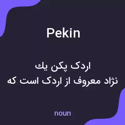 معنی pekin به فارسی معنی pekin به فارسی
