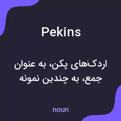 معنی pekins به فارسی معنی pekins به فارسی