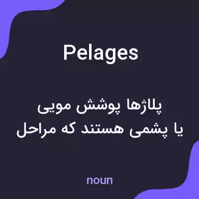 معنی pelages به فارسی معنی pelages به فارسی