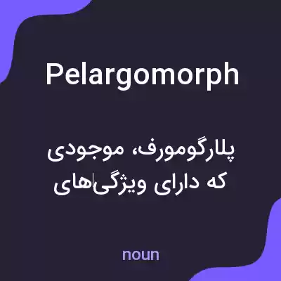 معنی pelargomorph به فارسی معنی pelargomorph به فارسی
