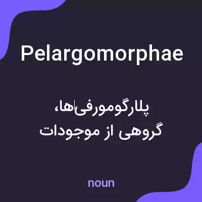 معنی pelargomorphae به فارسی معنی pelargomorphae به فارسی
