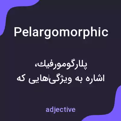 معنی pelargomorphic به فارسی معنی pelargomorphic به فارسی