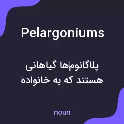 معنی pelargoniums به فارسی معنی pelargoniums به فارسی