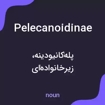 معنی pelecanoidinae به فارسی معنی pelecanoidinae به فارسی