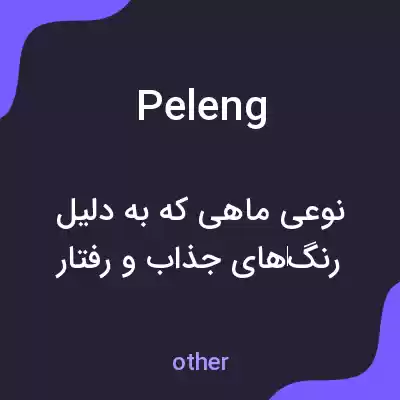 معنی peleng به فارسی معنی peleng به فارسی