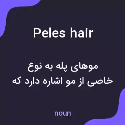 معنی peles hair به فارسی معنی peles hair به فارسی
