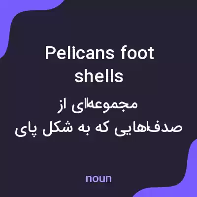 معنی pelicans foot shells به فارسی معنی pelicans foot shells به فارسی