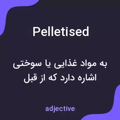 معنی pelletised به فارسی معنی pelletised به فارسی