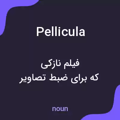 معنی pellicula به فارسی معنی pellicula به فارسی