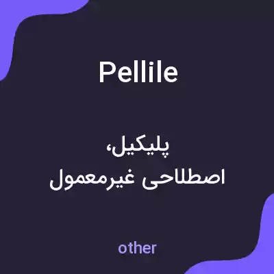 معنی pellile به فارسی معنی pellile به فارسی