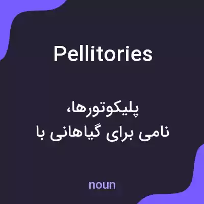 معنی pellitories به فارسی معنی pellitories به فارسی
