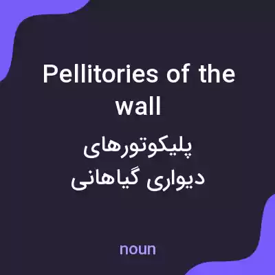 معنی pellitories of the wall به فارسی معنی pellitories of the wall به فارسی