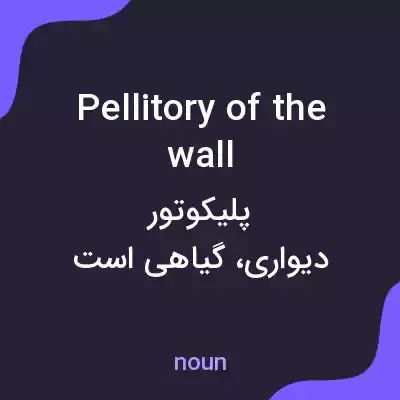 معنی pellitory of the wall به فارسی معنی pellitory of the wall به فارسی