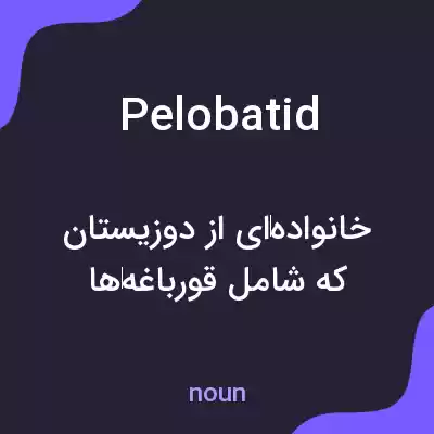 معنی pelobatid به فارسی معنی pelobatid به فارسی