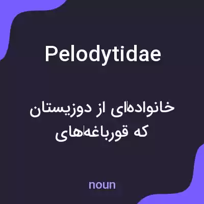 معنی pelodytidae به فارسی معنی pelodytidae به فارسی