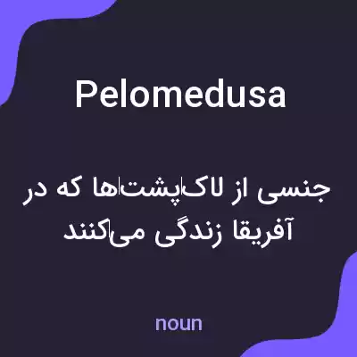 معنی pelomedusa به فارسی معنی pelomedusa به فارسی