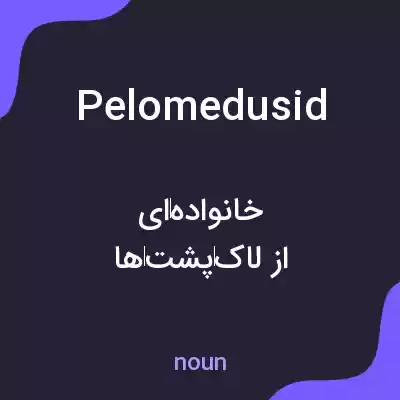 معنی pelomedusid به فارسی معنی pelomedusid به فارسی