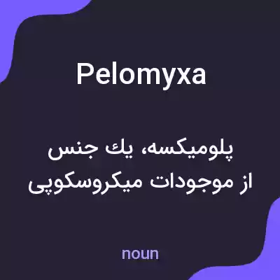 معنی pelomyxa به فارسی معنی pelomyxa به فارسی