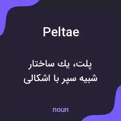 معنی peltae به فارسی معنی peltae به فارسی